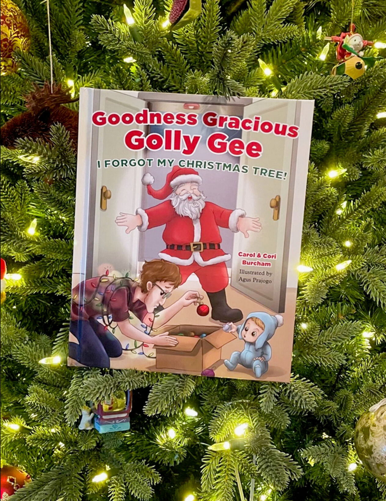 'Goodness Gracious Golly Gee'